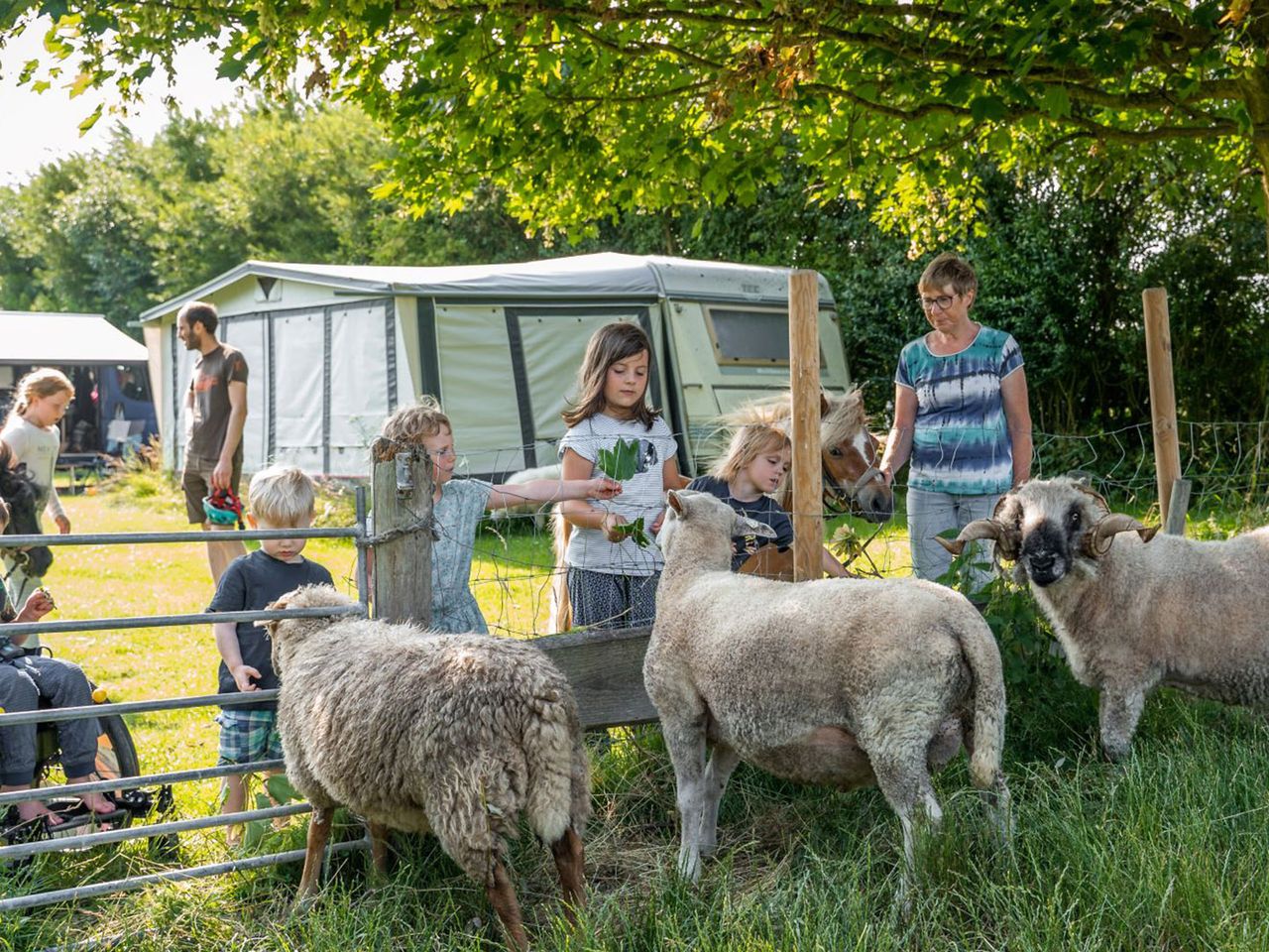 Campingplatz Ferienhof Folger