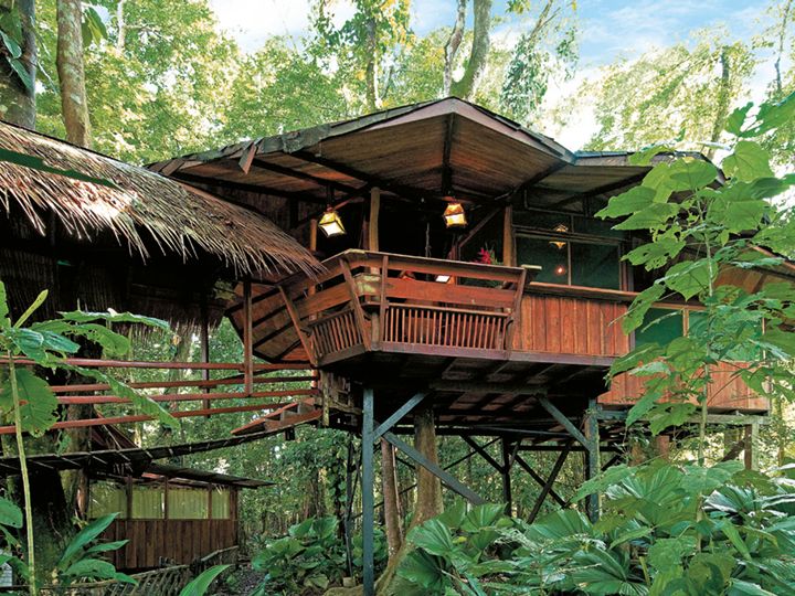 Costa Rica Tree House Lodge