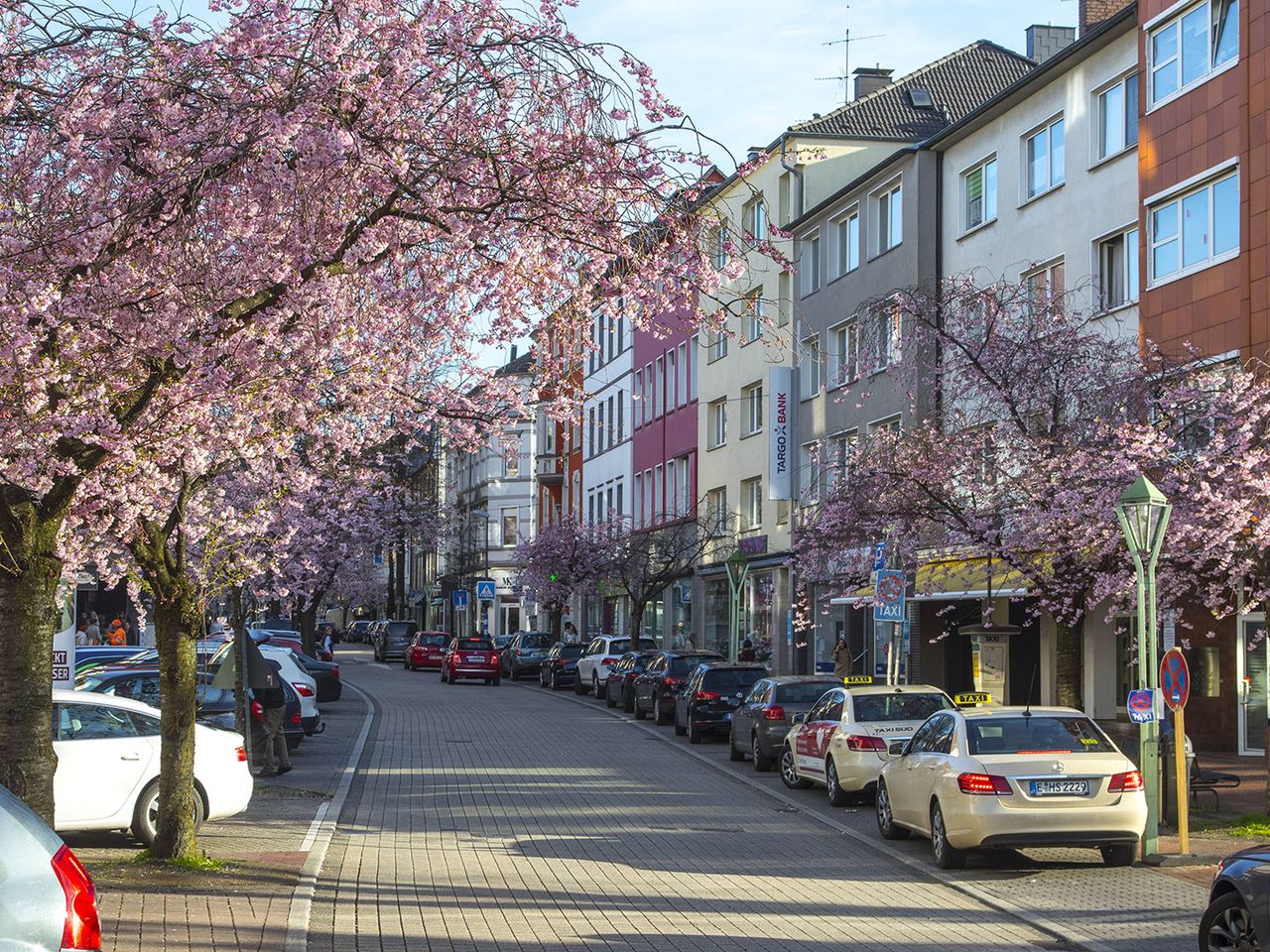 Rüttenscheider Straße in Essen zur Kirschblüte, NRW