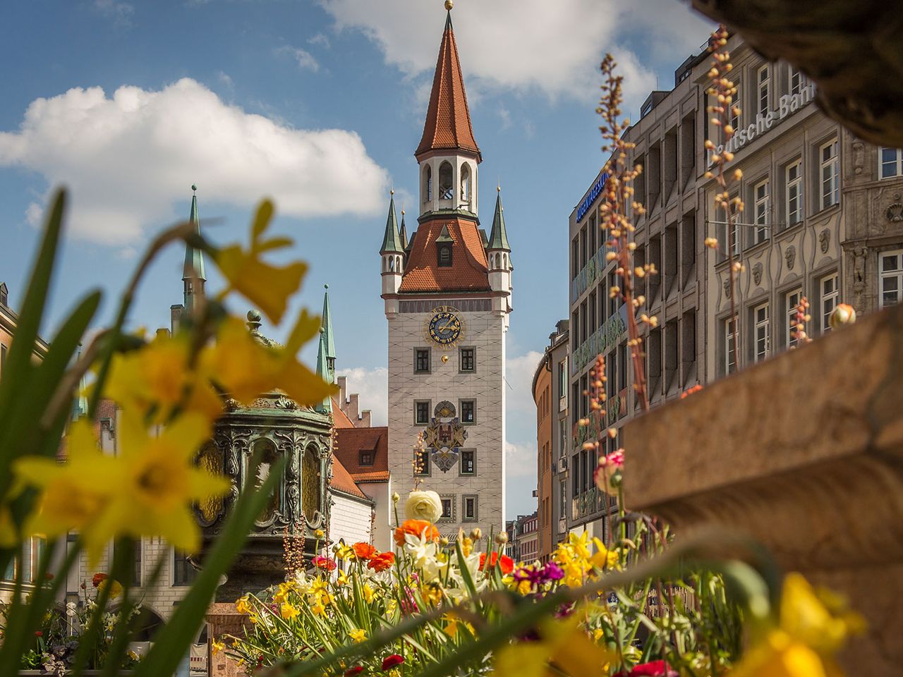 München, Marienplatz im Frühling