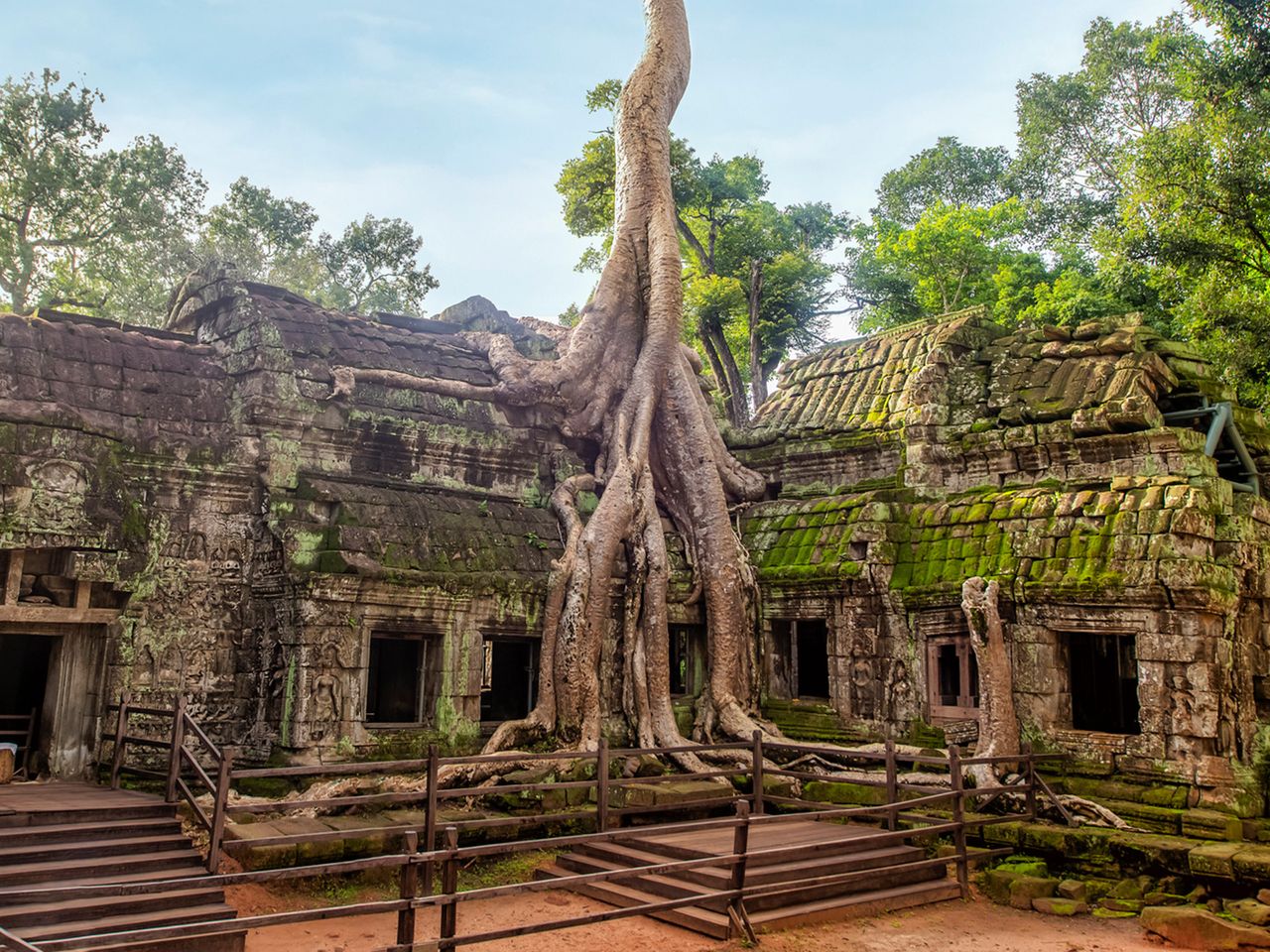 Ta Prohm Tempel in Angkor Thom, Kambodscha