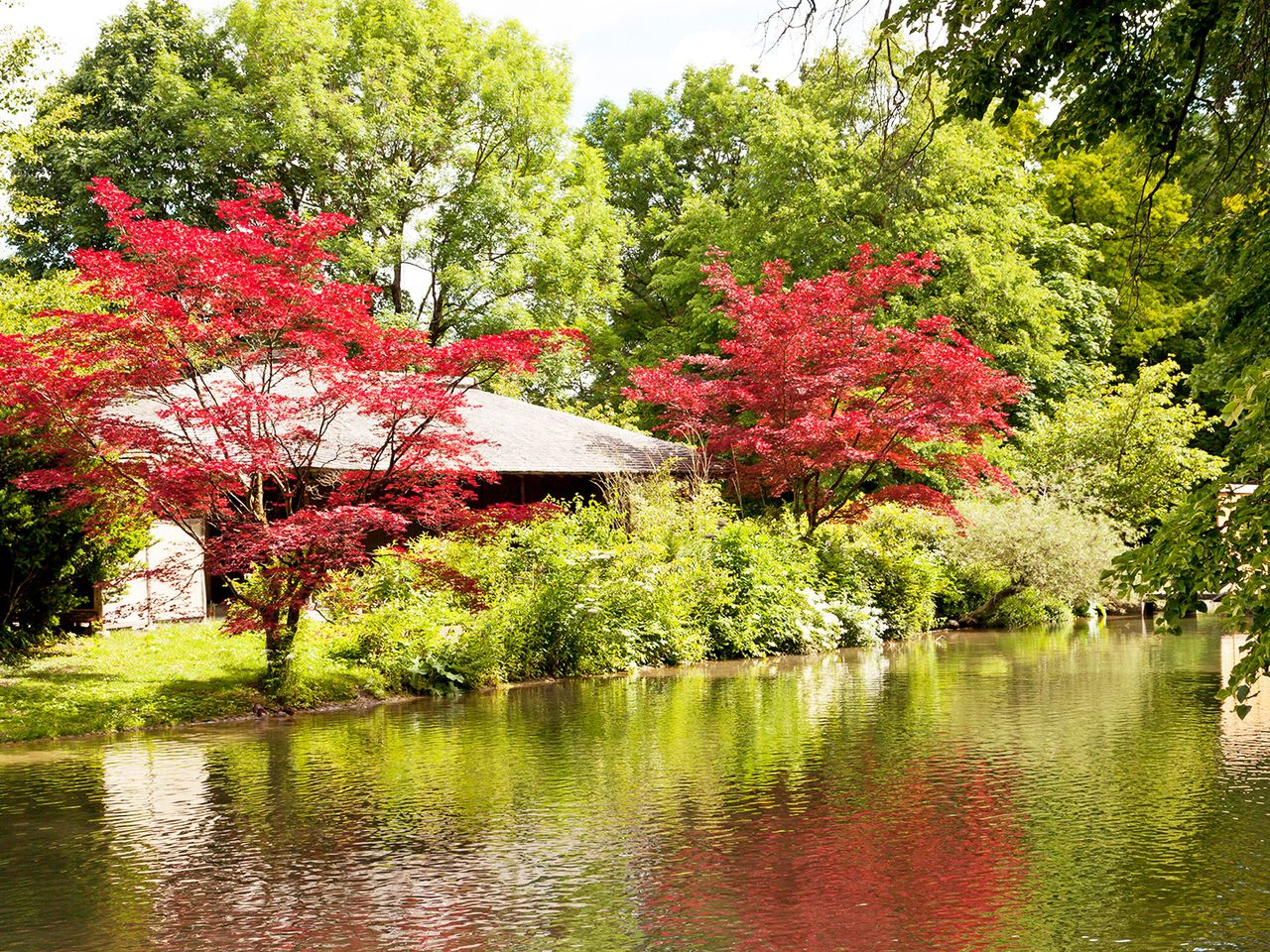 Japanisches Teehaus, Englischer Garten München