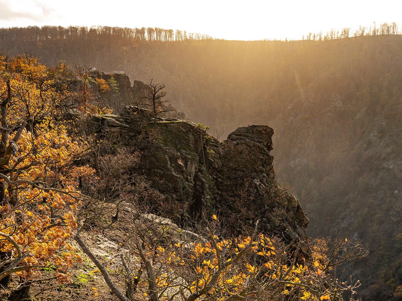 Rosstrappe im Bodetal, Harz
