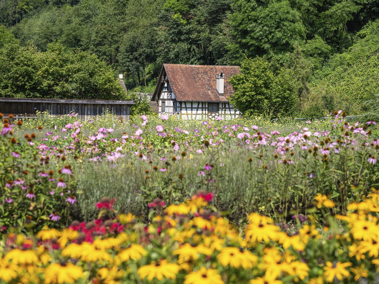 Kräutergarten in der Kartause Ittingen