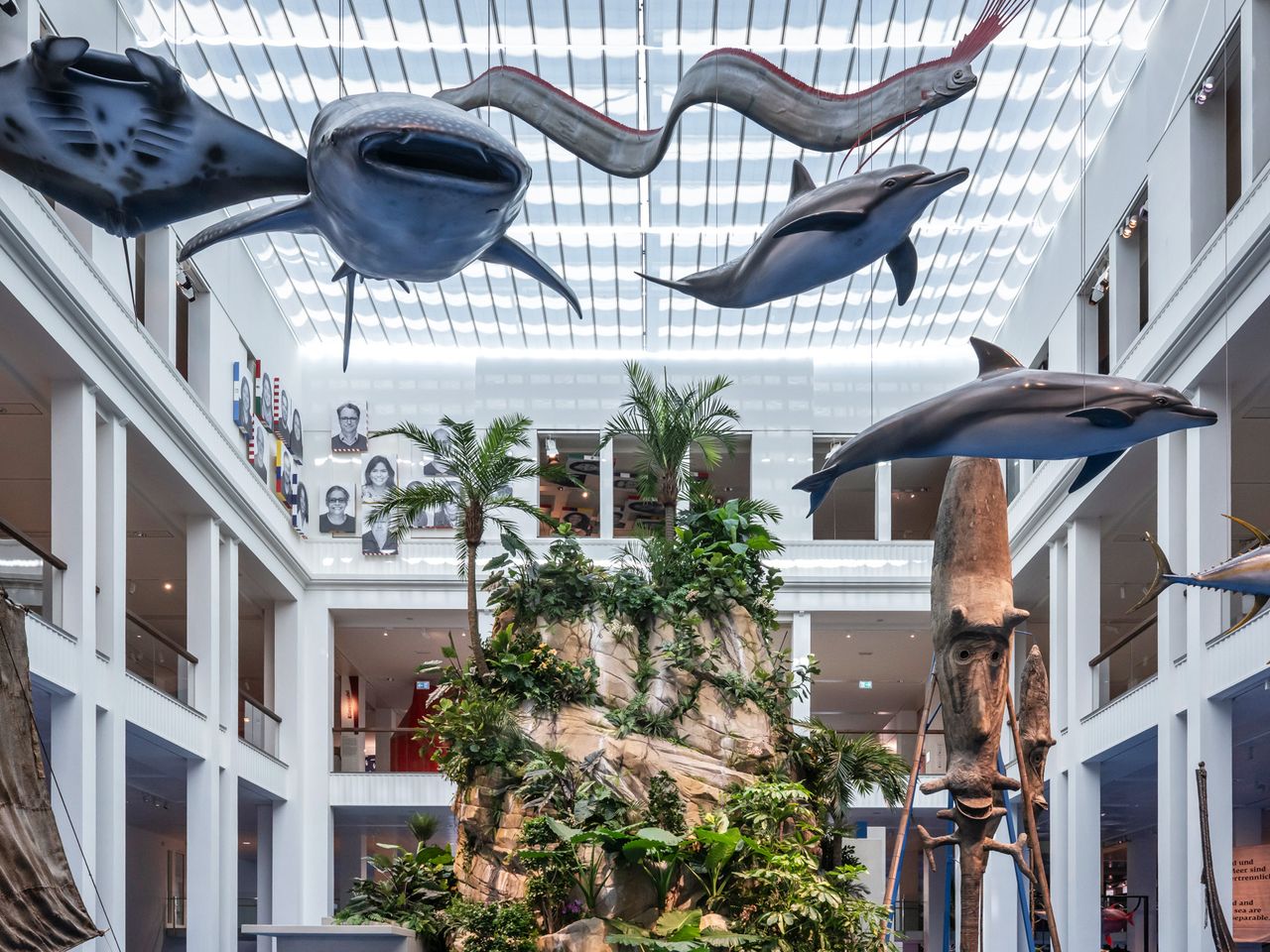 Der blaue Kontinent im Übersee-Museum, Bremen