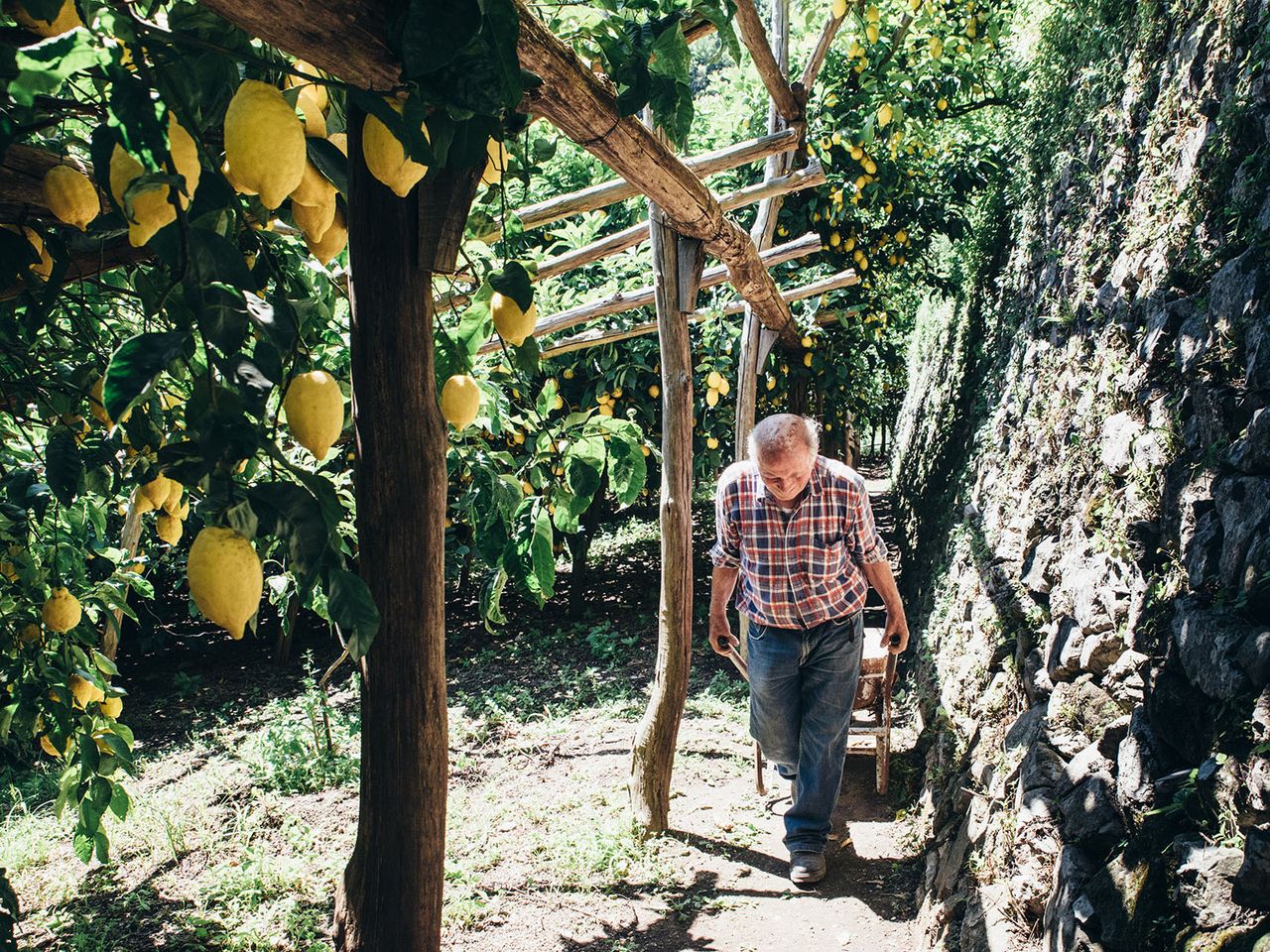 Lemon Experience, Amalfi