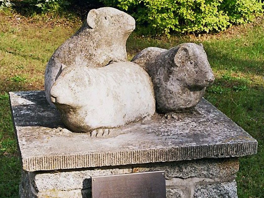 Meerschweinchen-Denkmal, Riems in Mecklenburg-Vorpommern