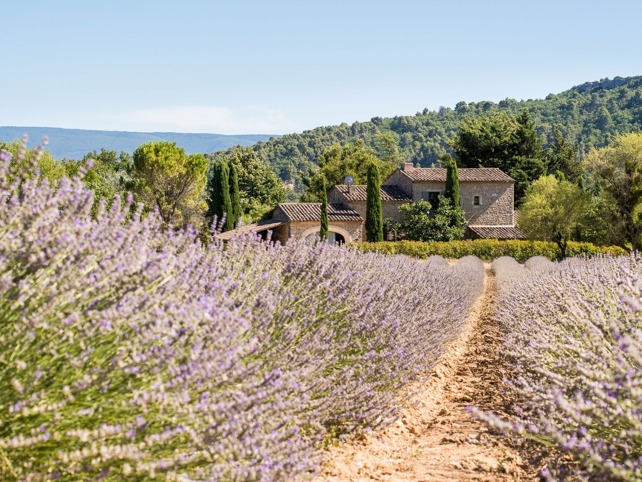 Lavendelfeld und Landhaus in der Provence