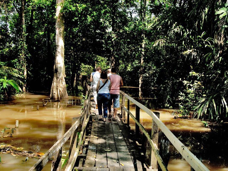 Parque Ecol&oacute;gico Janauari, Manaus