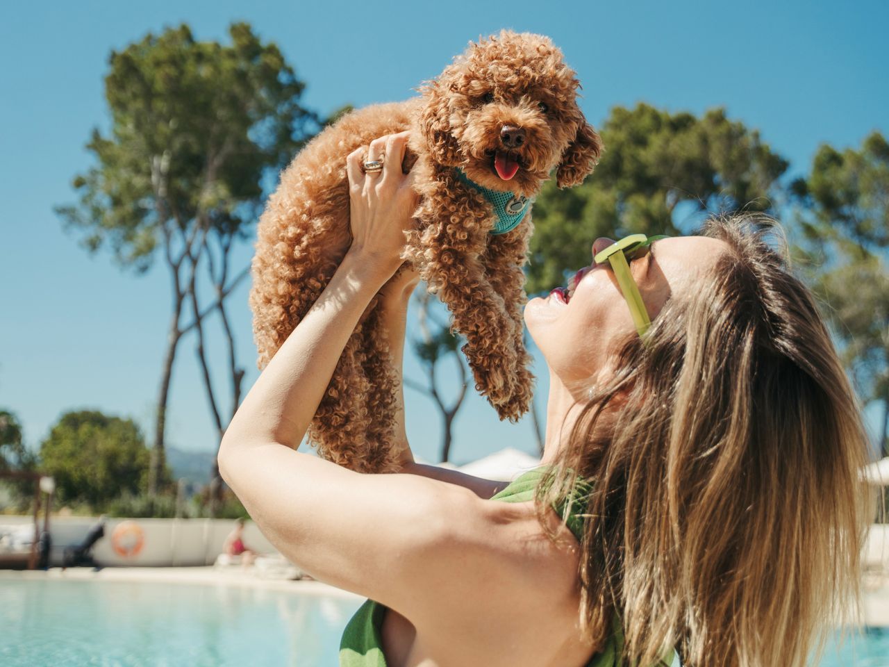 Hunde erlaubt, im Kimpton Aysla Mallorca