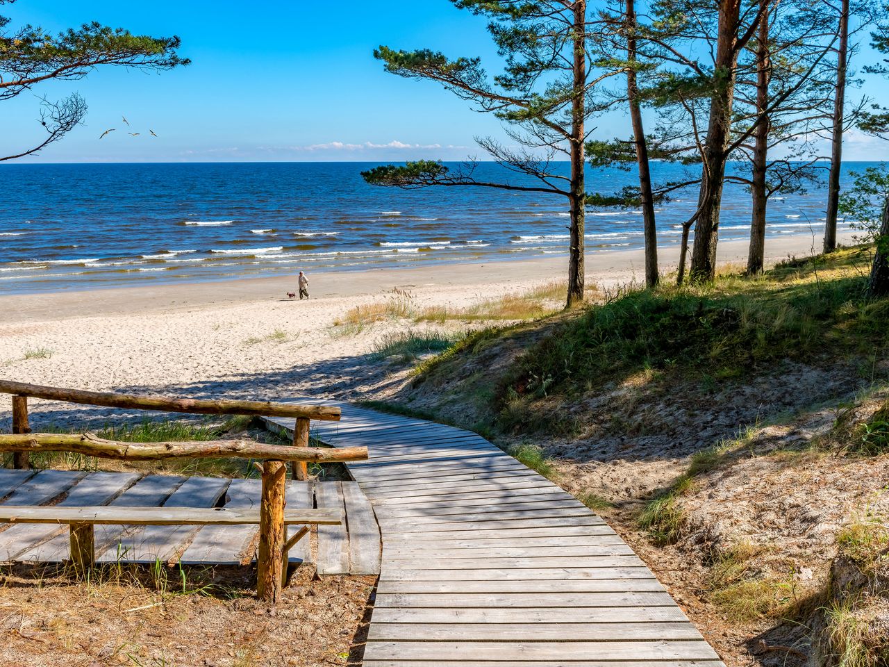 Blick vom Kiefernwald zur lettischen Küste in Jūrmala