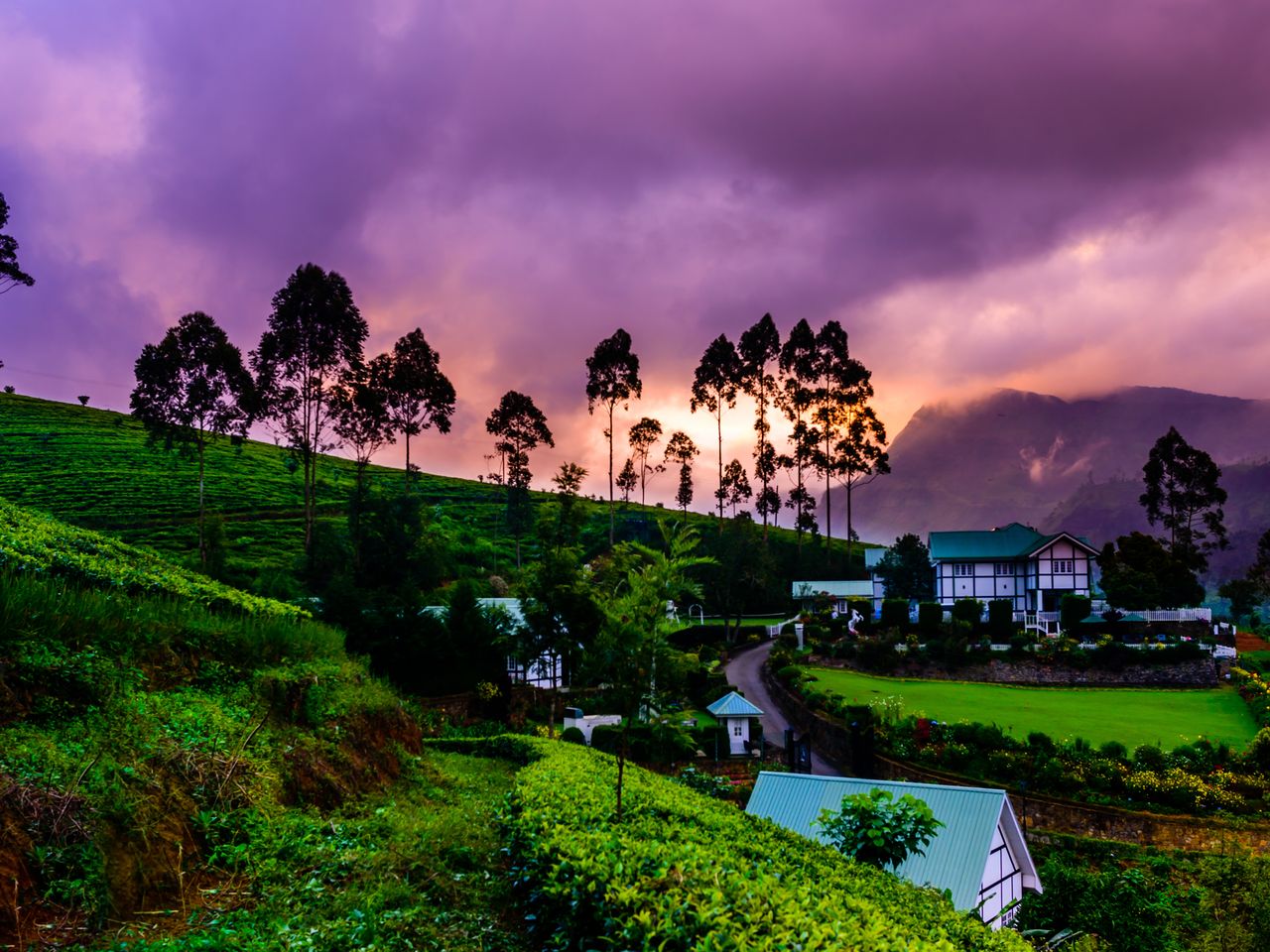 Hochland rund um Nuwara Eliya, Sri Lanka