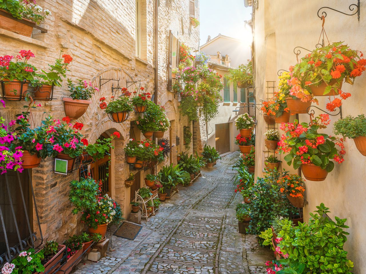 Blumen in den Gassen von Spello in Umbrien, Italien