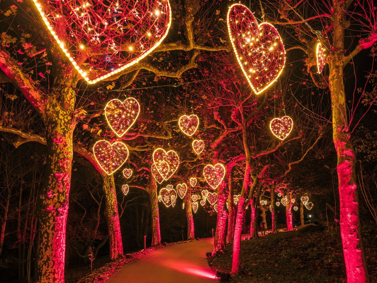 Lichtertunnel auf der Bodensee-Insel Mainau