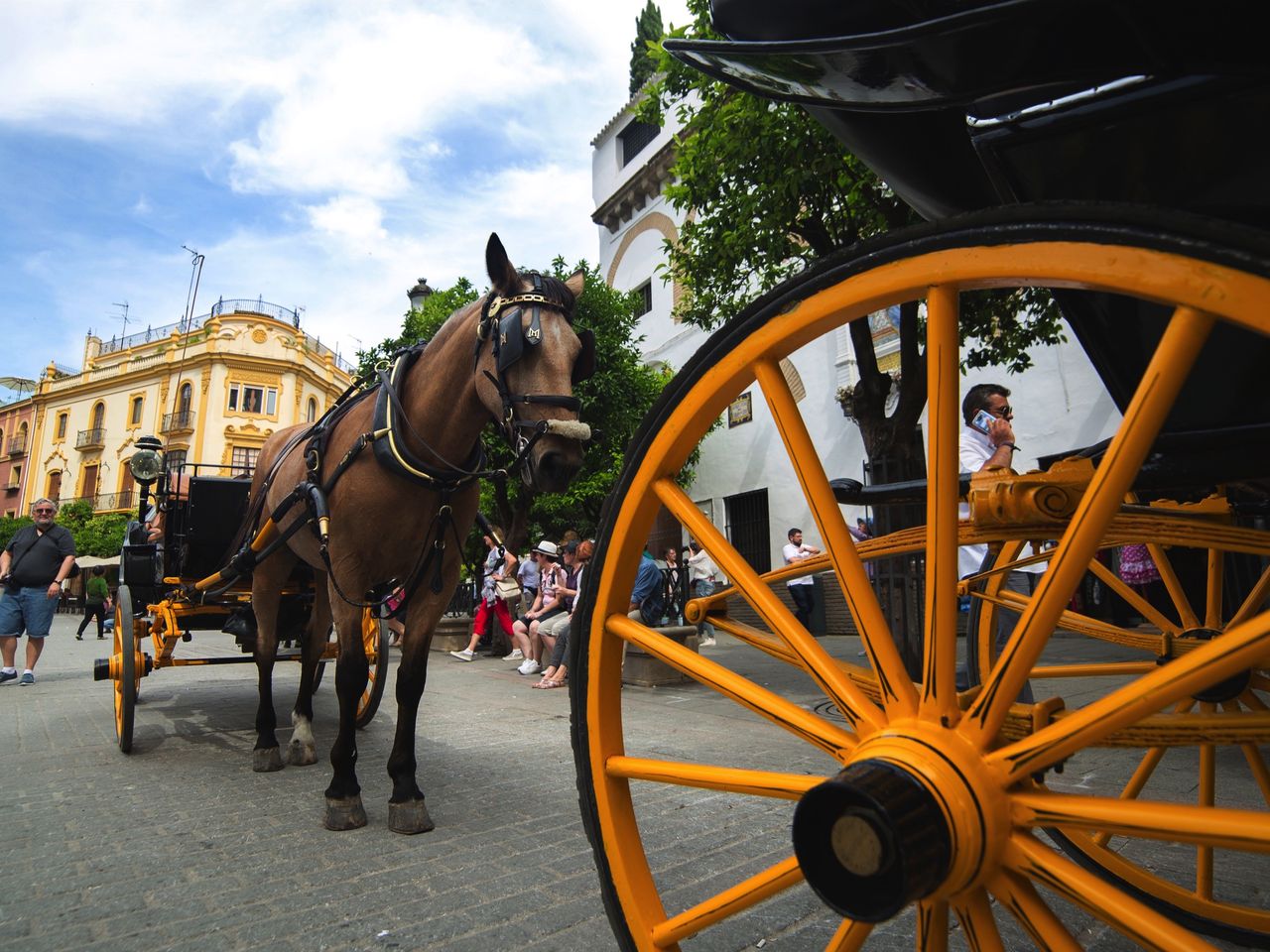 Plaza Virgen de los Reyes in der Altstadt von Sevilla