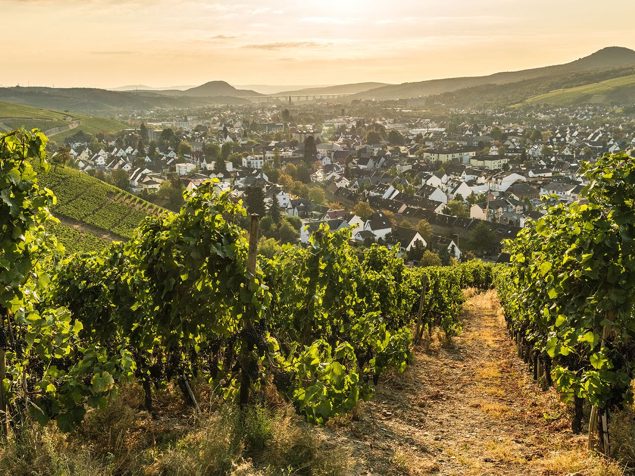 Rotweinwanderweg