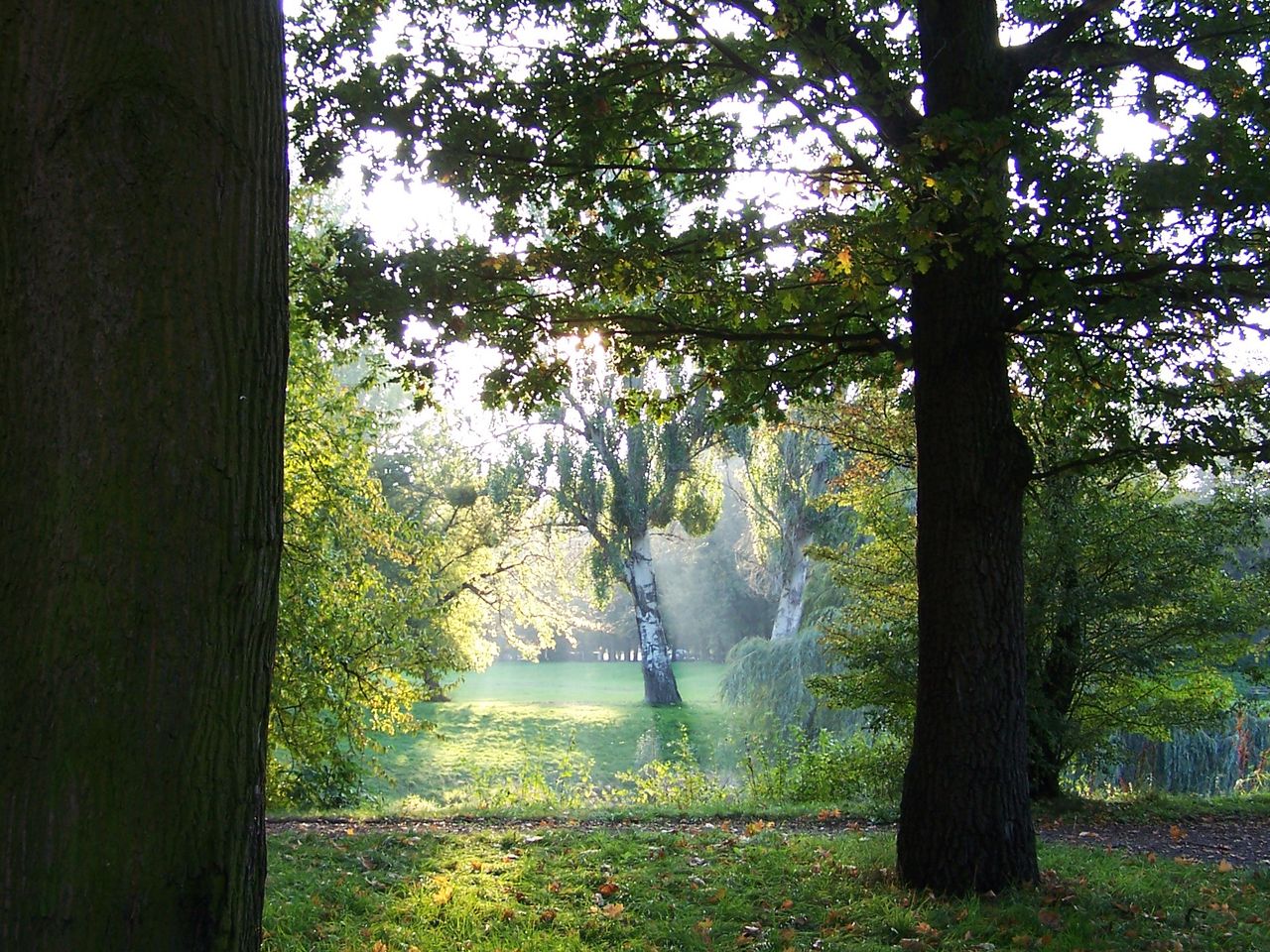 Stadtpark Rotehorn Magdeburg