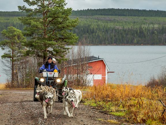 Husky Safari Lappland