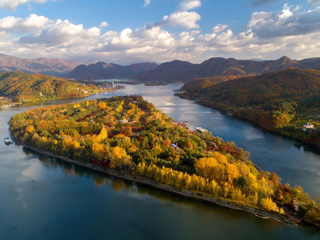 Herbstliche Wälder auf der südkoreanischen Flussinsel Nami