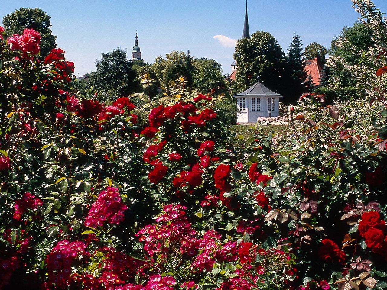 Rosengarten Bad Langensalza mit Rosengarten-Pavillon