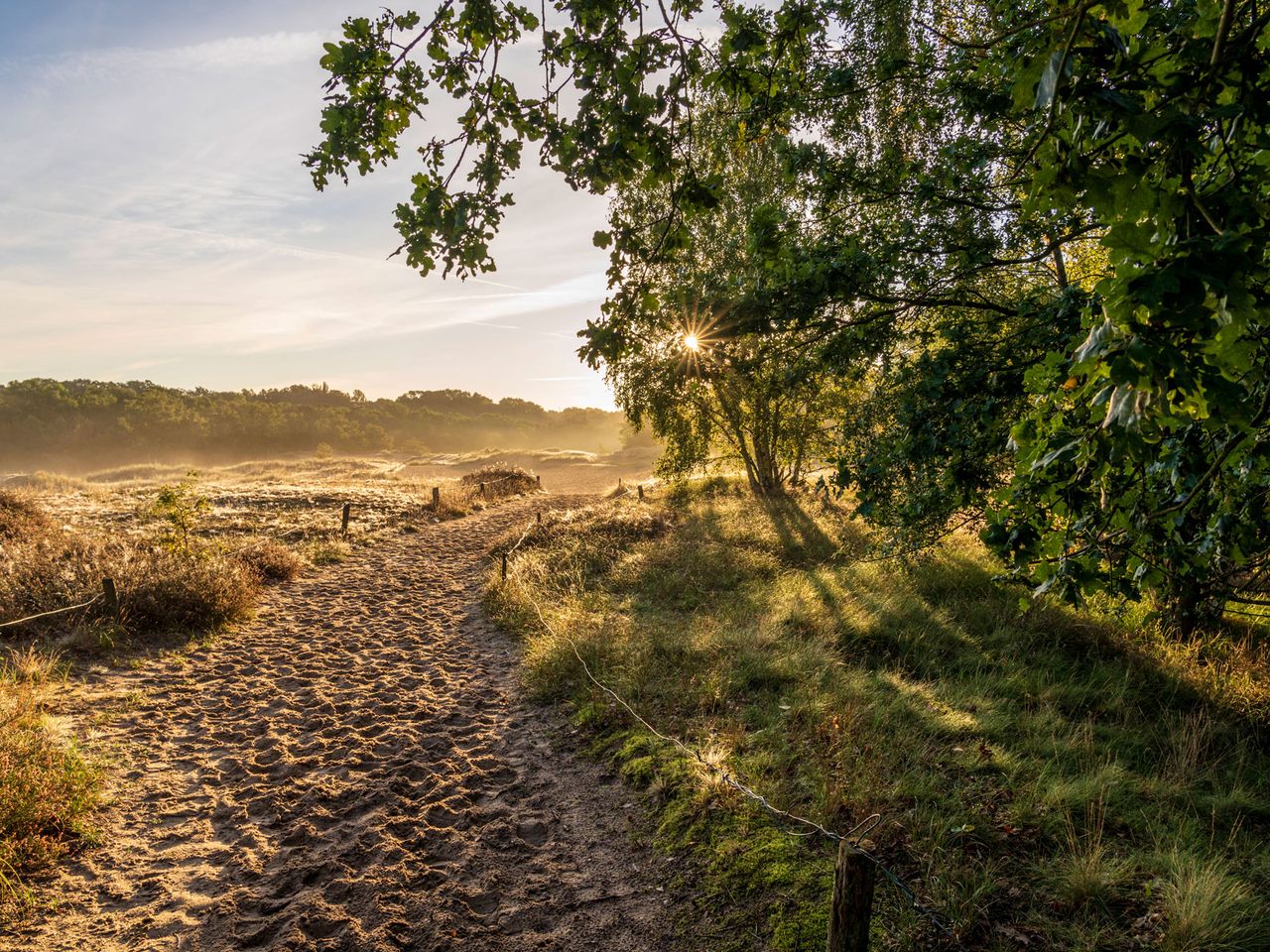 Sonne geht über den Boberger Dünen unter