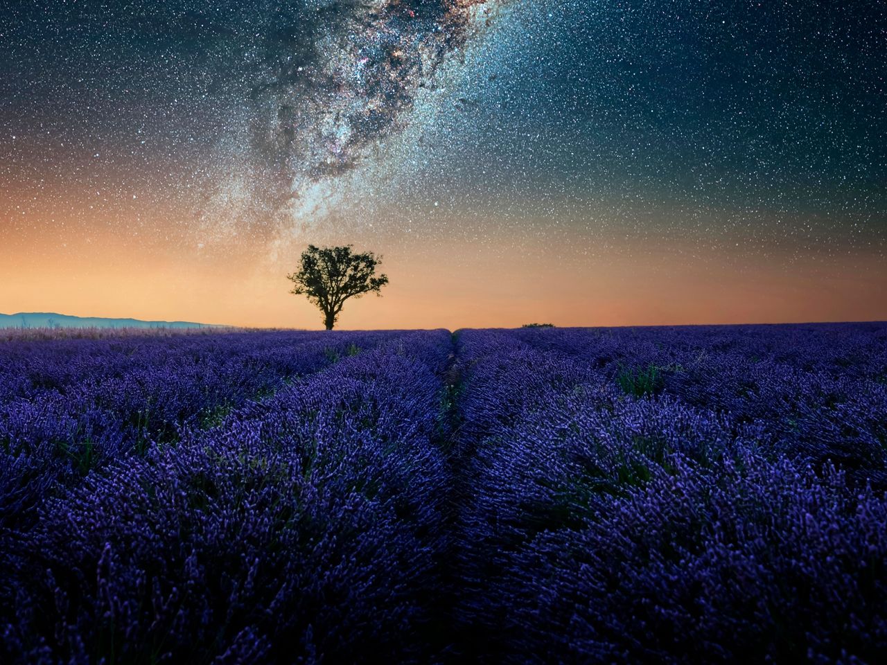 Sternenhimmel mit Milchstraße über Plateau de Valensole, Provence