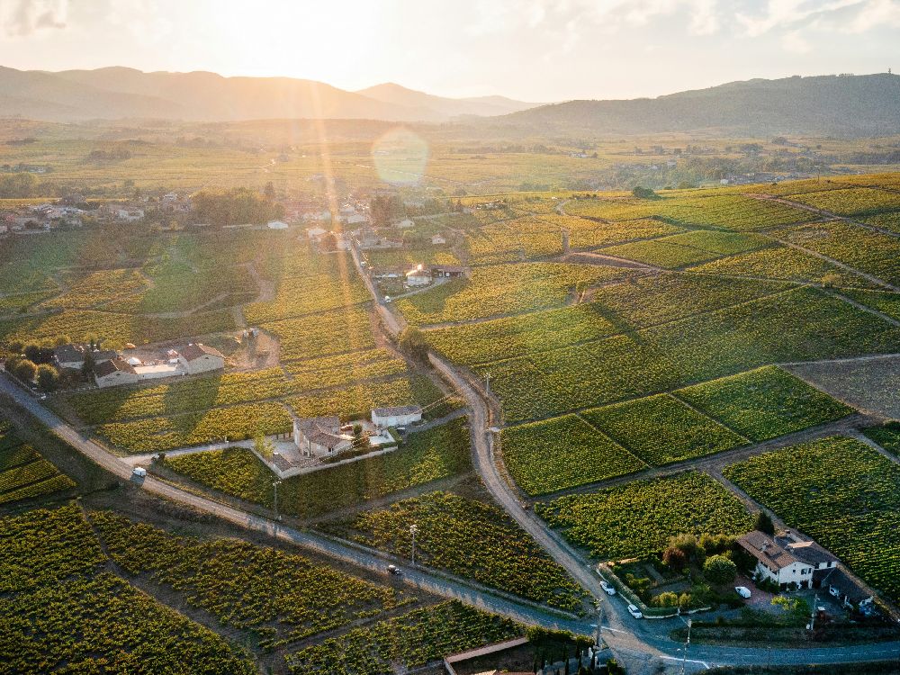 Landschaft von Beaujolais, Frankreich