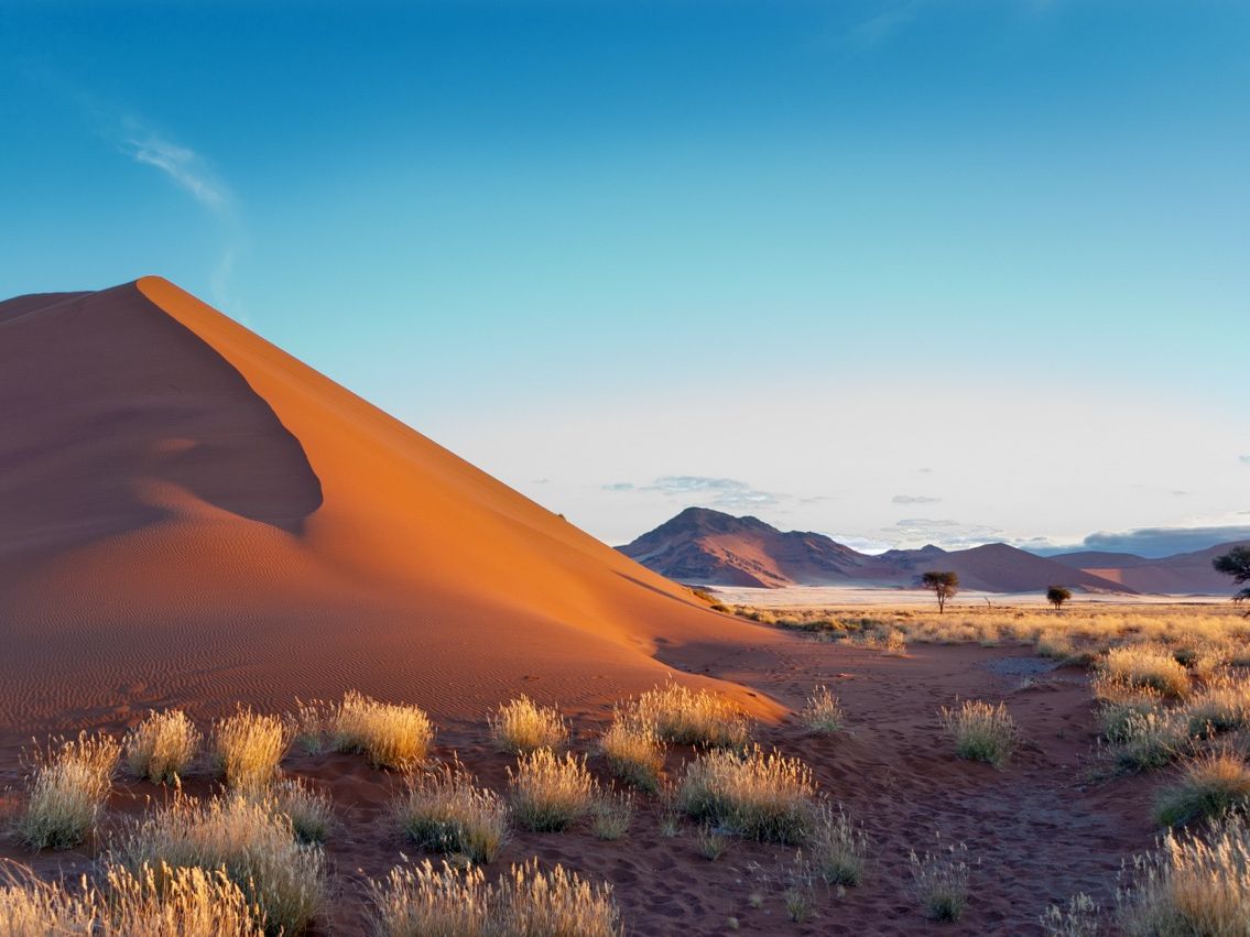 nam_Sossusvlei_wueste_duene_shutterstock_107852582
