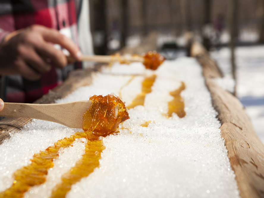 kanadischer-ahornsirup-maple-syrup