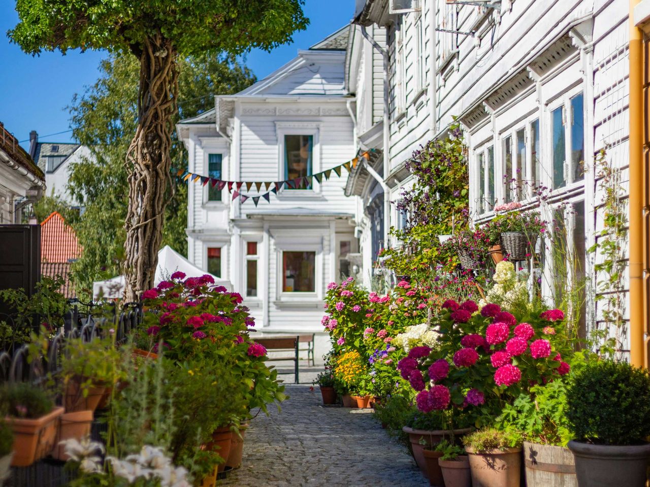 malerische Gasse in Bergen, Norwegen