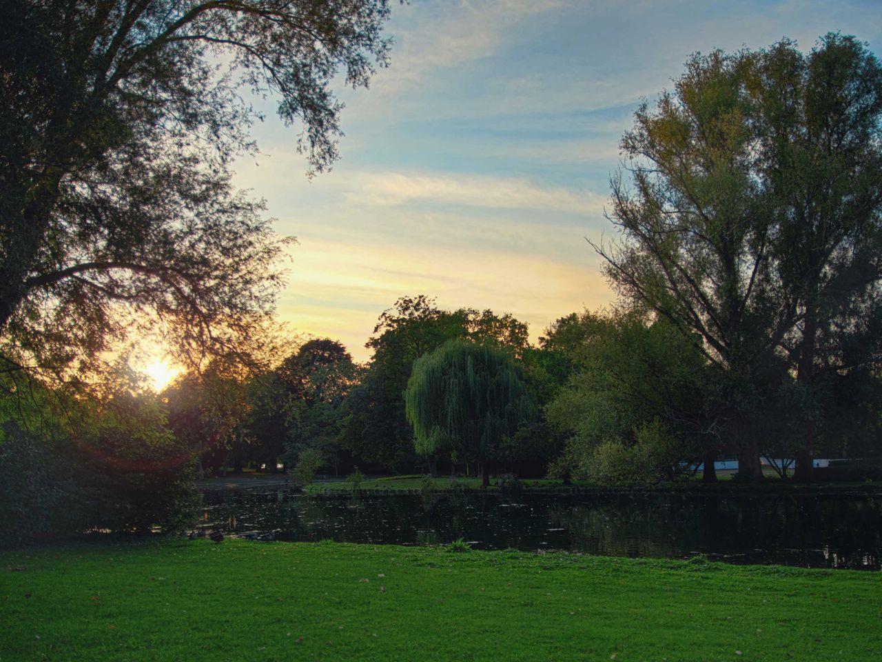 Rheinaue in Bonn während des Sonnenuntergangs