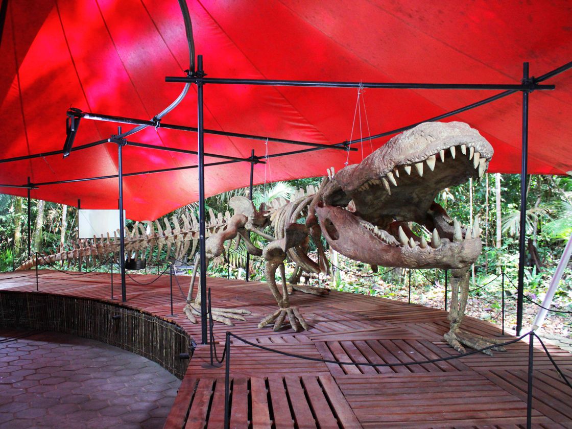 Musa Museo, Manaus, Brasilien