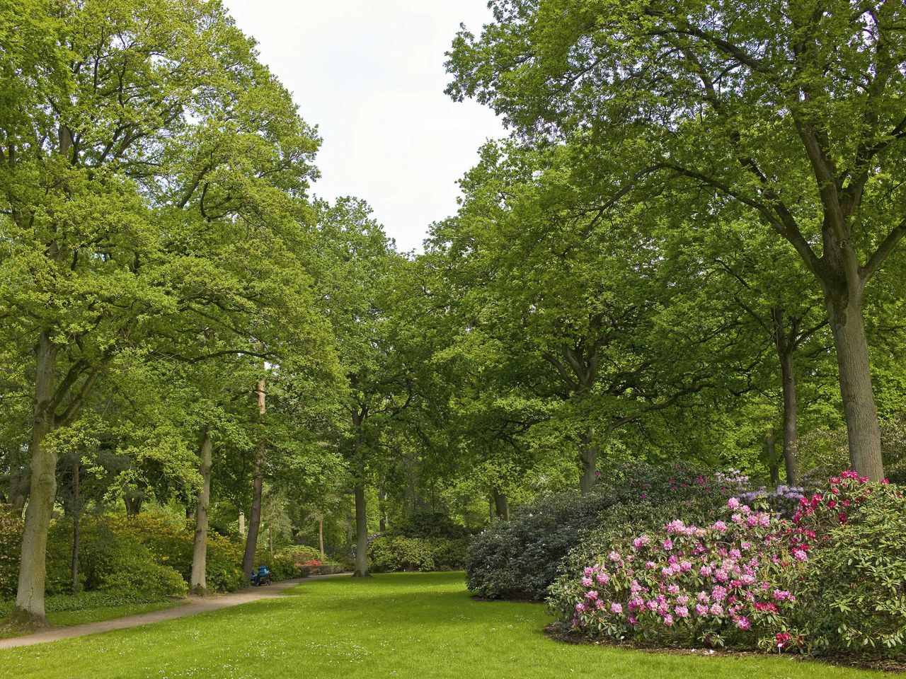 Rhododendron-Park in Bremen
