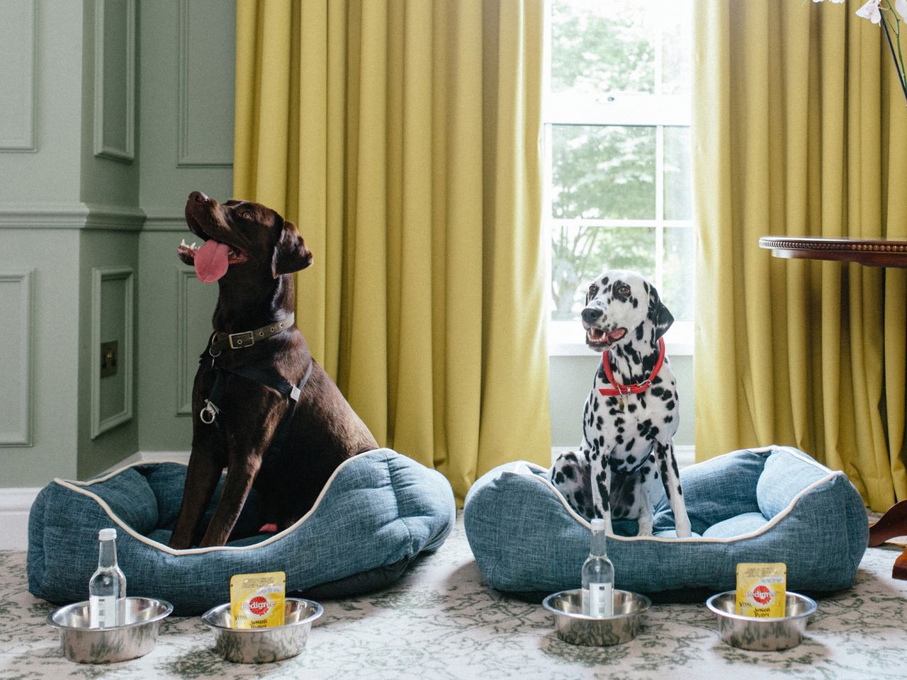 Four Seasons Hampshire, England