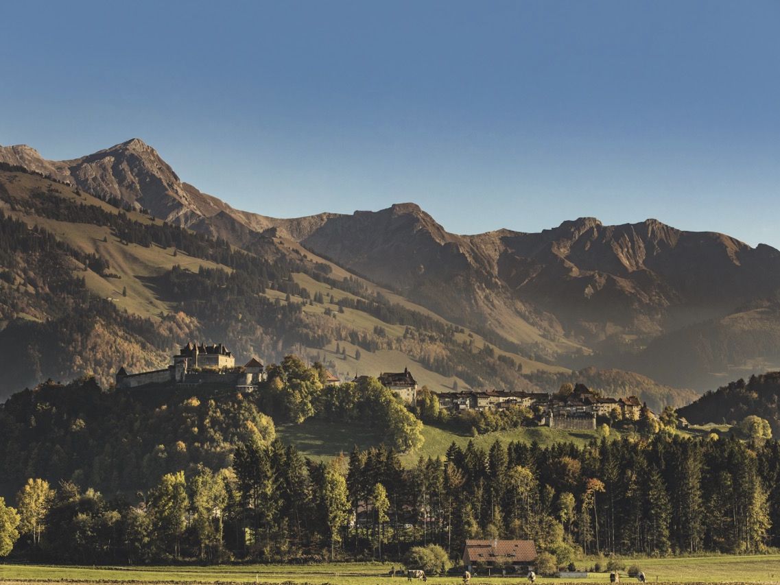 Groß ( Ref.GU_13.10.2017_130)