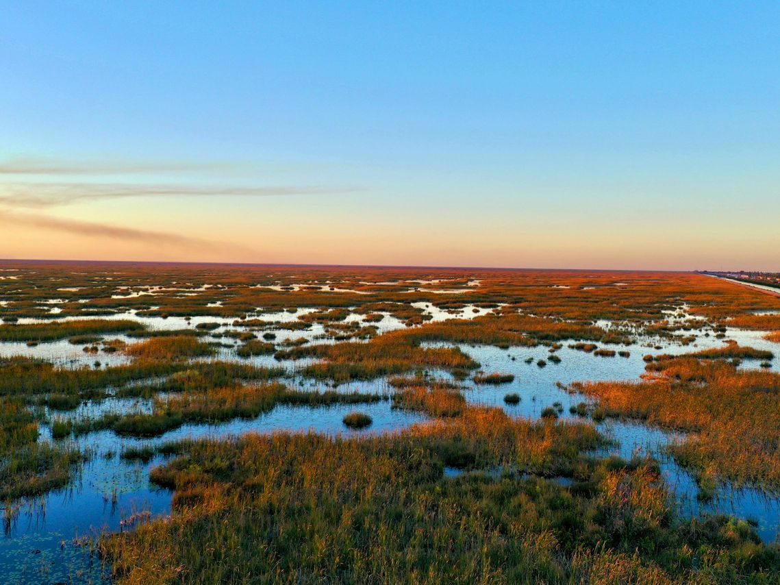 Everglades Nationalpark, Florida