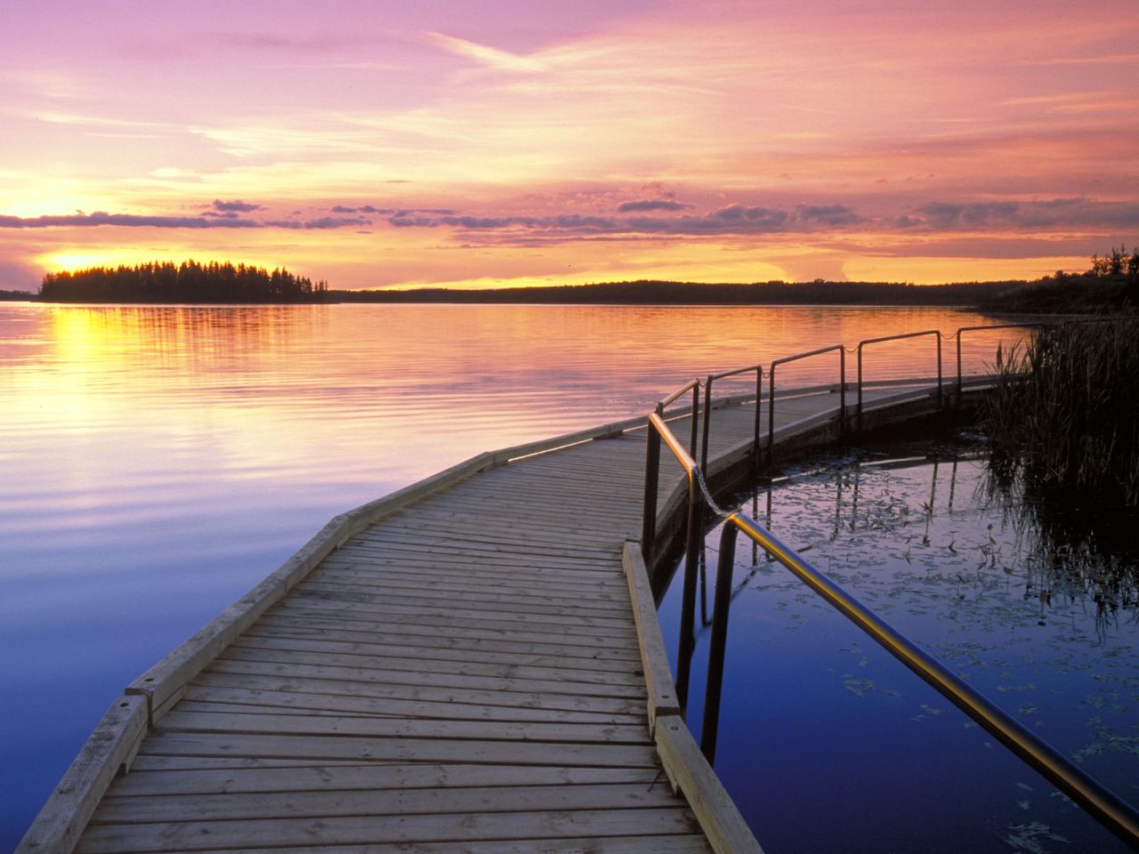 Elk Island National Park in Alberta