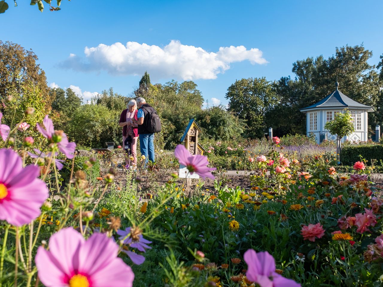 Bad Langensalza Rosengarten