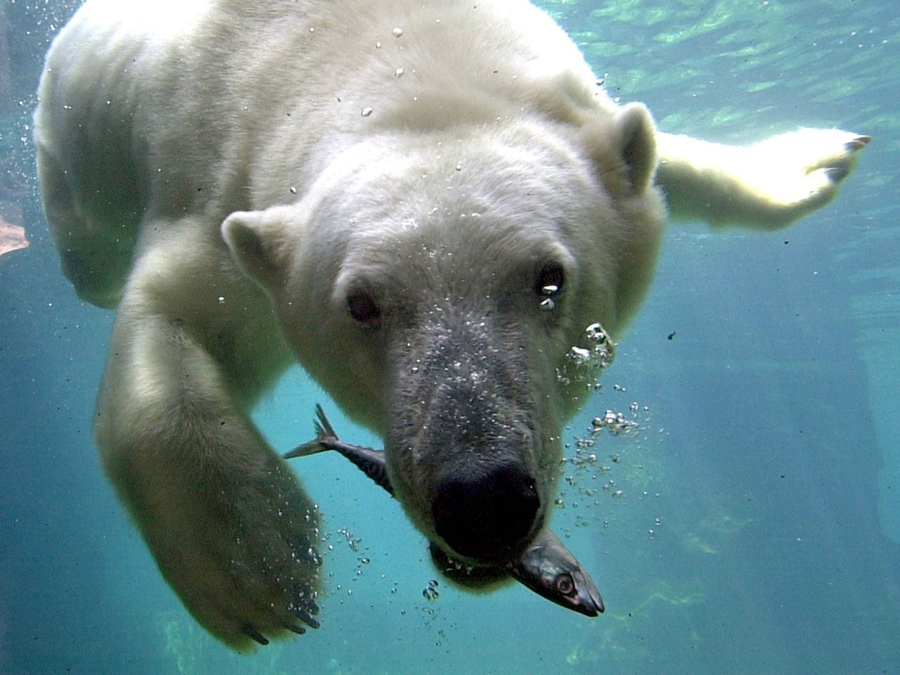 Zoo am Meer - Bremerhaven