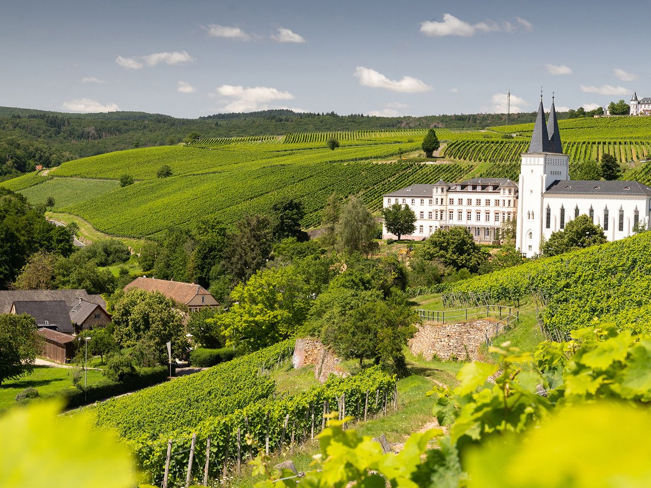 Ausblick vom Klostersteig, Wanderweg in Rheingau
