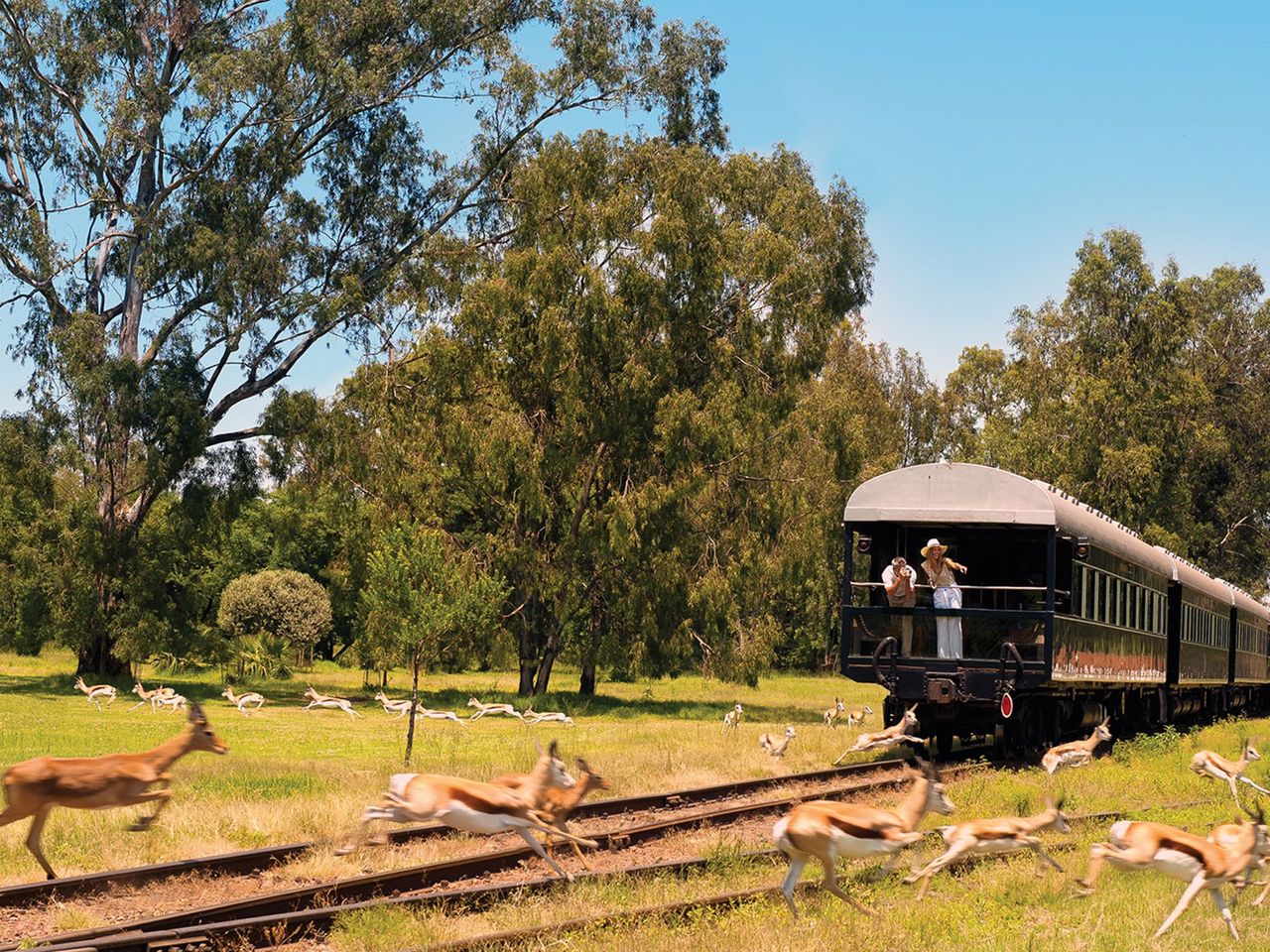 Rovos Rail, Pride of Africa