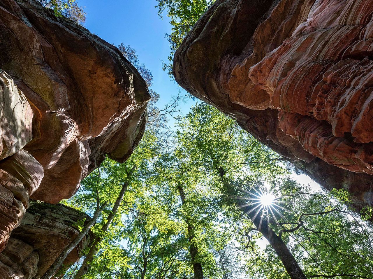 Altschlossfelsen aus Buntsandstein, Pfälzerwald