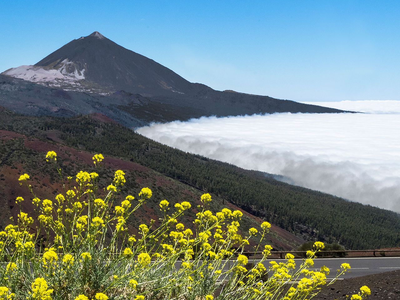 Blick zum Teide und ins Orotava-Tal