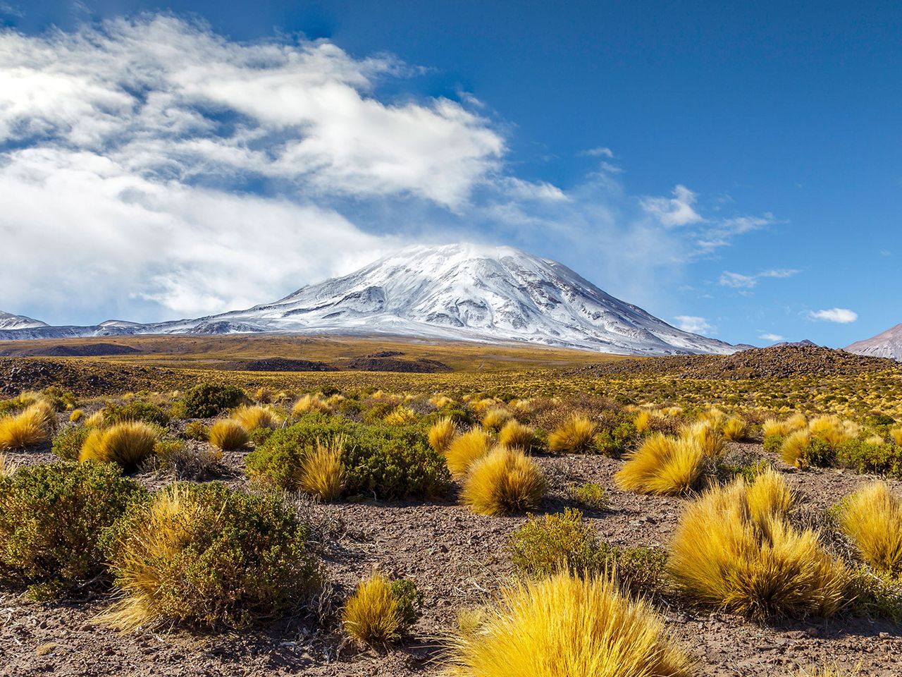 Láscar in der Atacama-Wüste