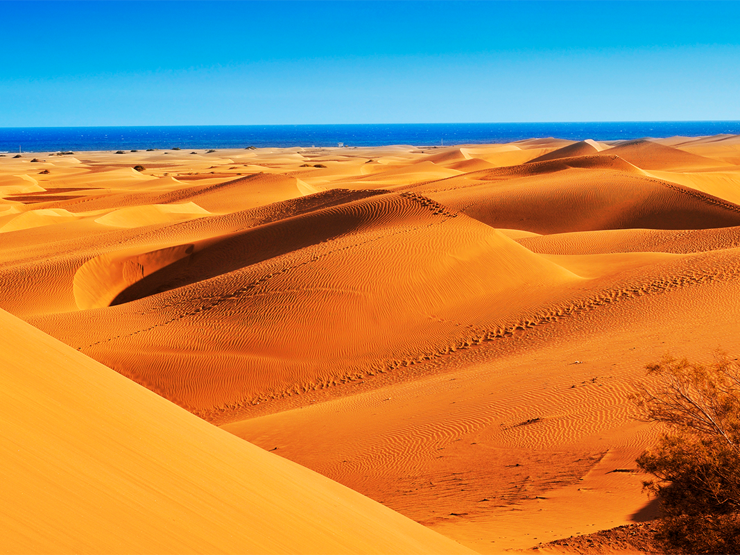 Die Dünen von Maspalomas