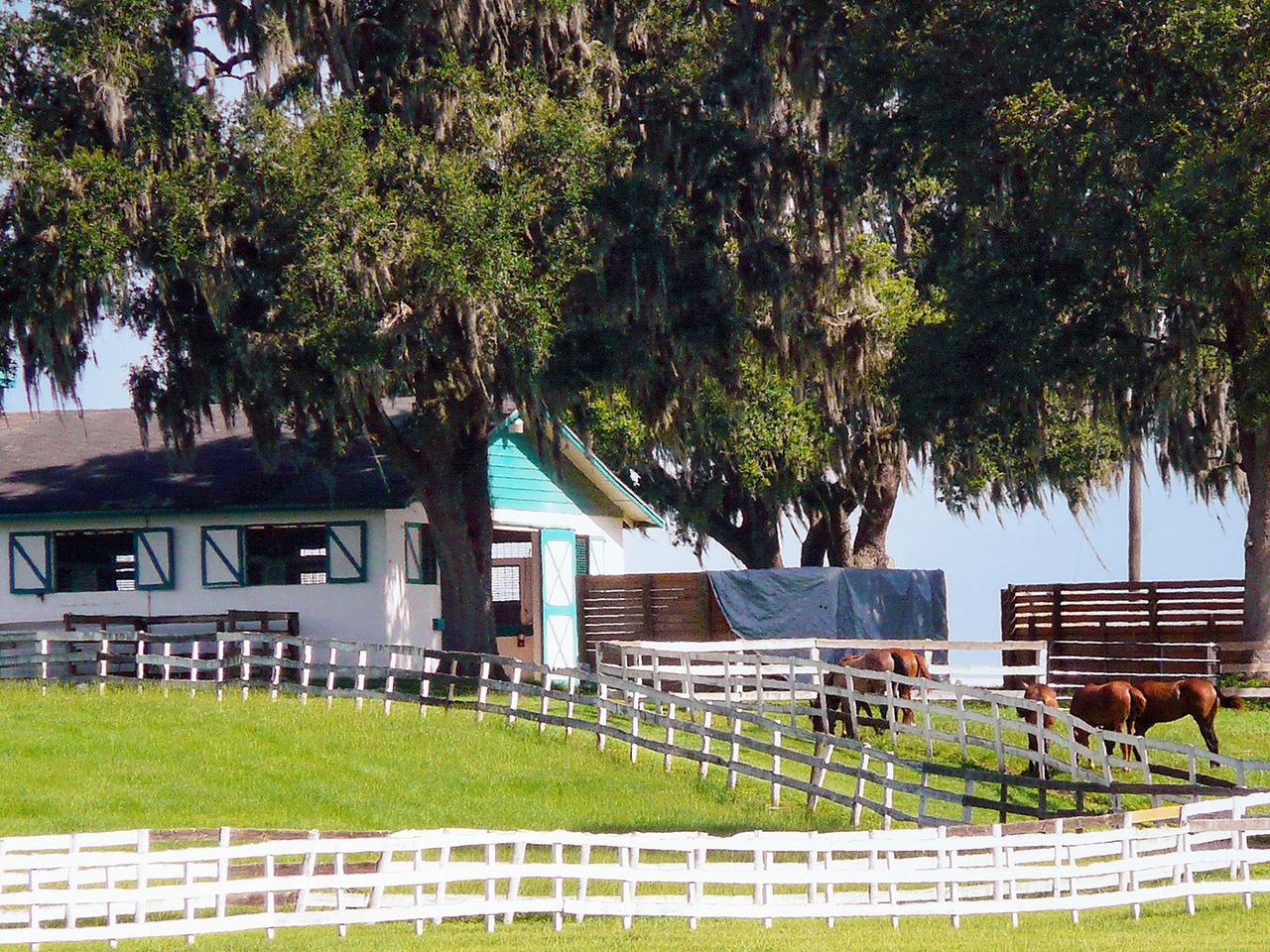 Ranch in Ocala, Florida