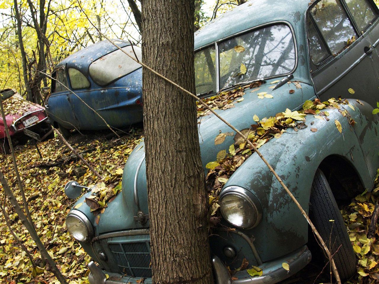 Autoskulpturenpark im Neandertal