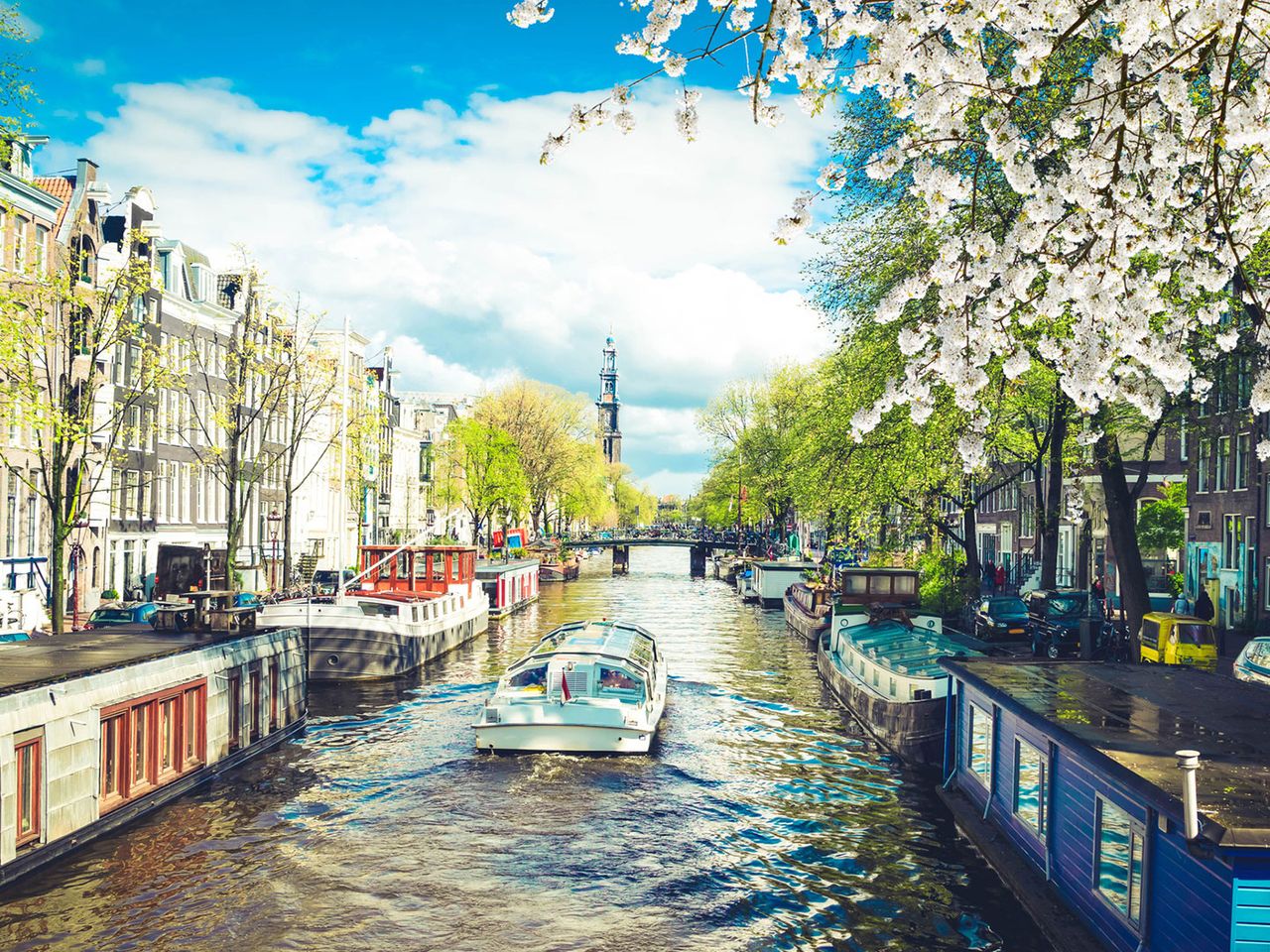 Boot in einem Kanal von Amsterdam im Frühling