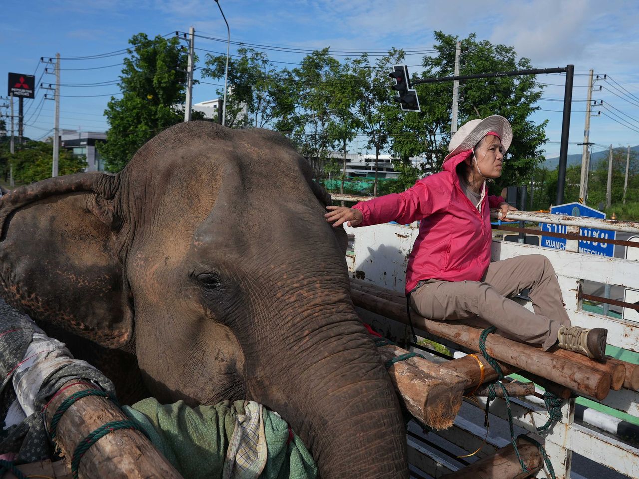 Lek Chailert Elefantenretterin, Thailand