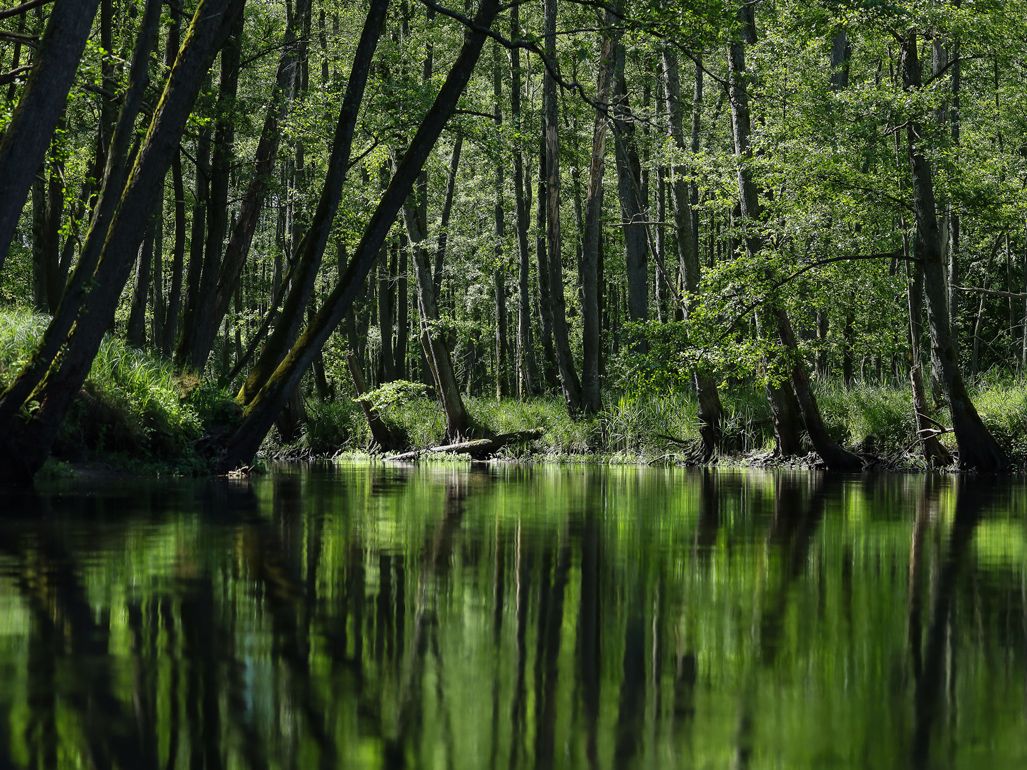 Nationalpark Drawa, Polen